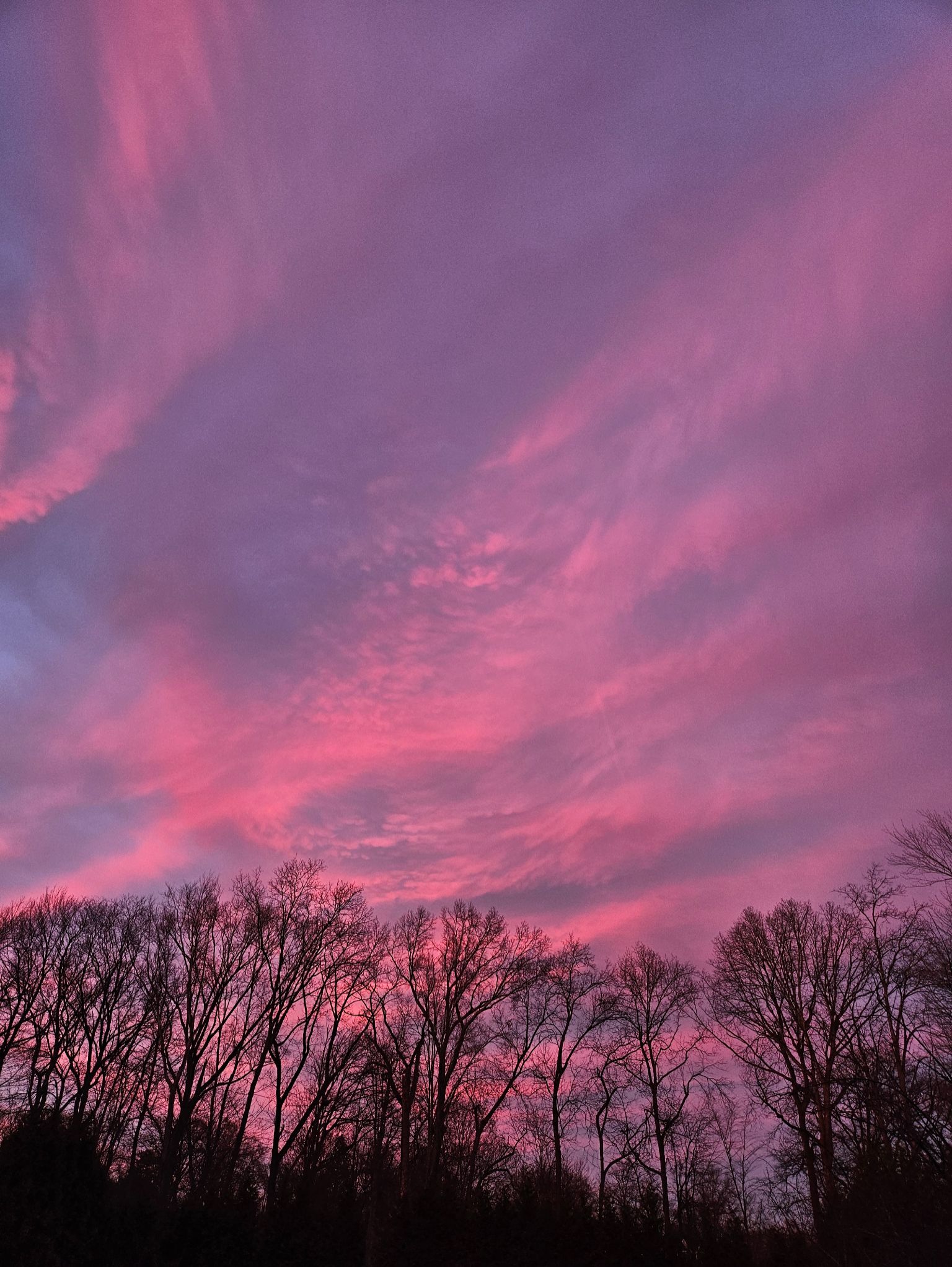 Community photo by C. Gentile | Florham Park, NJ USA