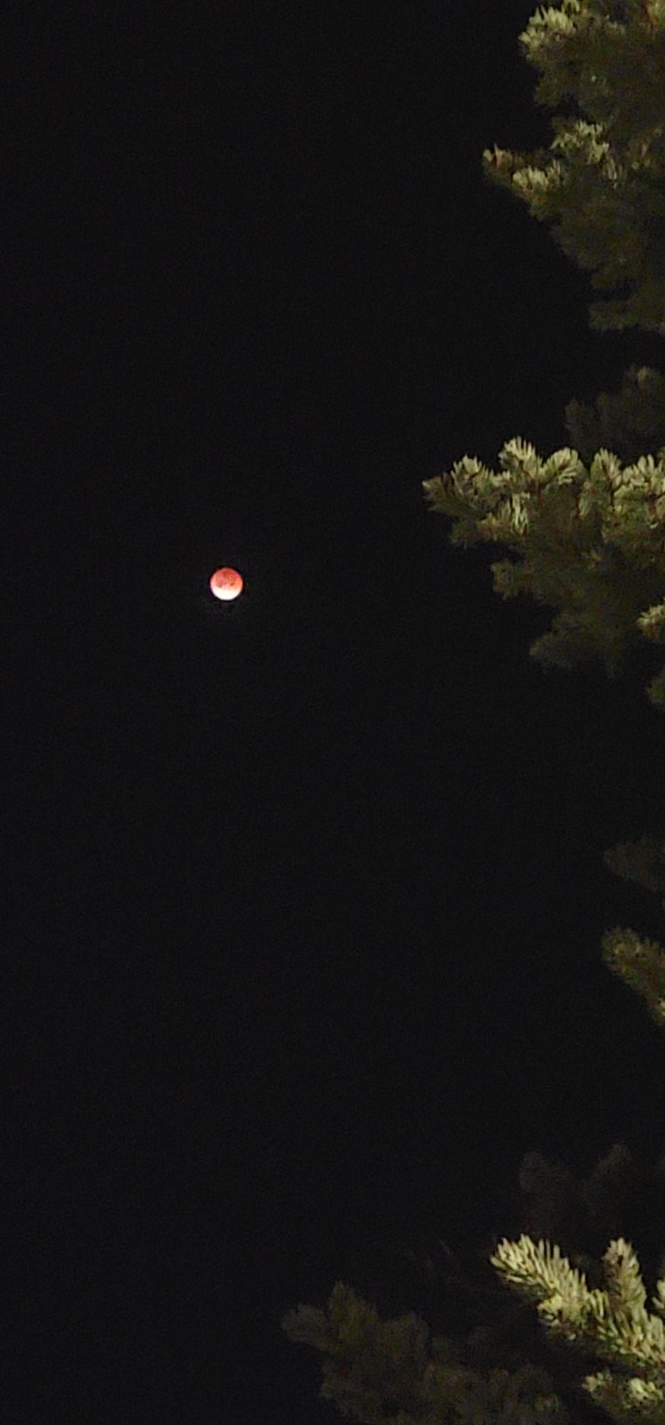 Community photo by Carole Segall | Richmond California USA