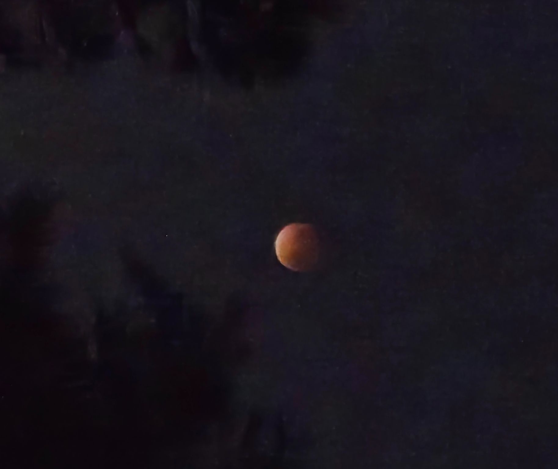 Community photo by Linda Carlson | Orlando, FL