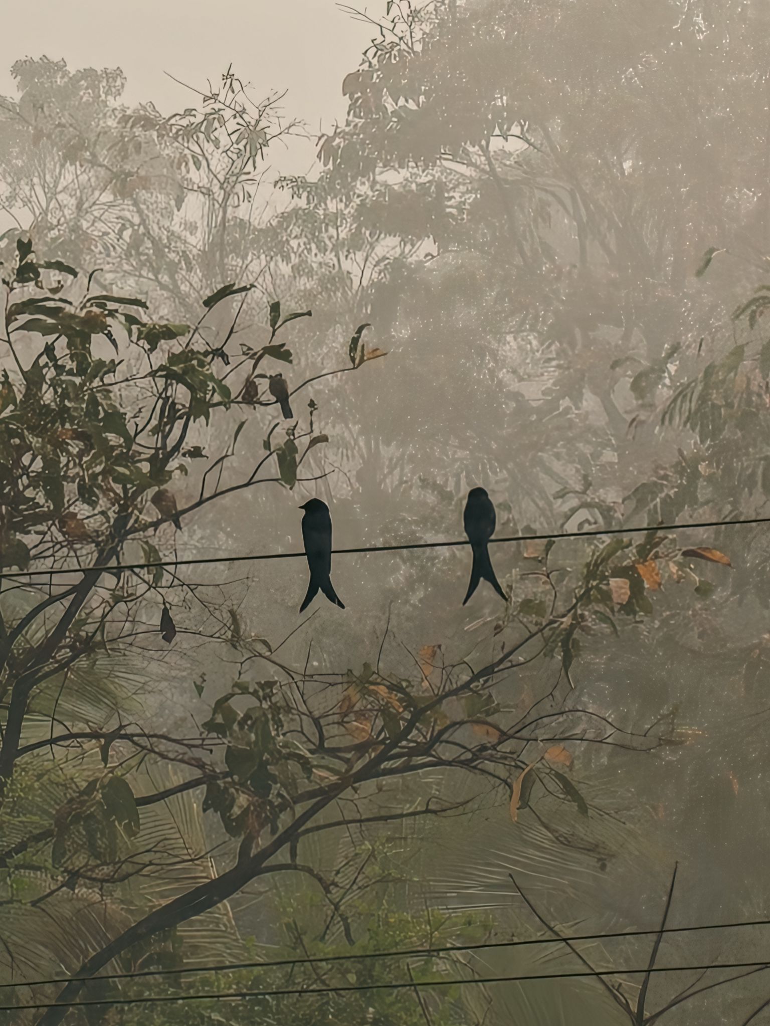 Community photo by Aayan