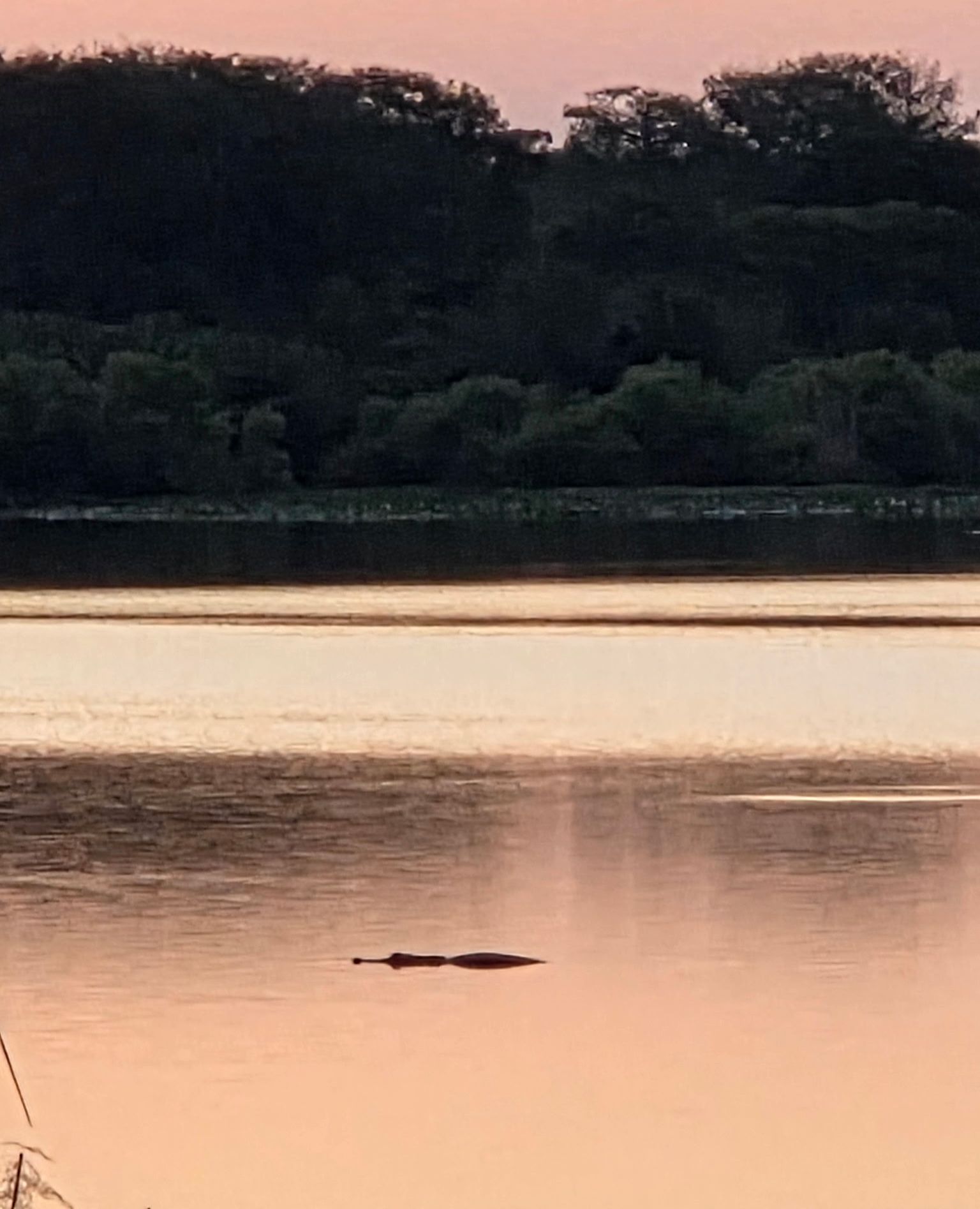 Community photo by Linda Carlson | Seminole county, FL