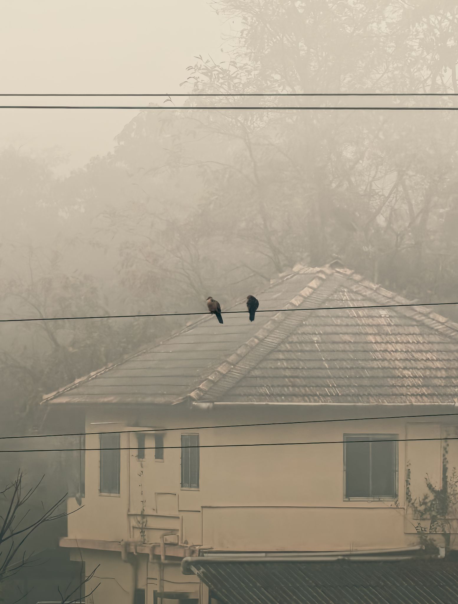 Community photo by Aayan