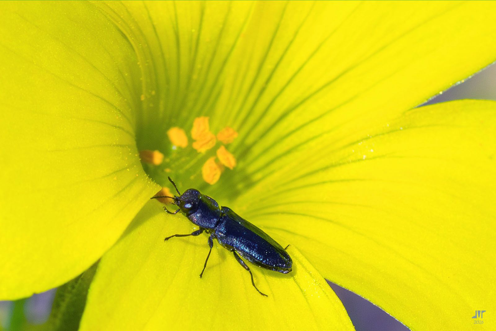 Community photo by juan manuel