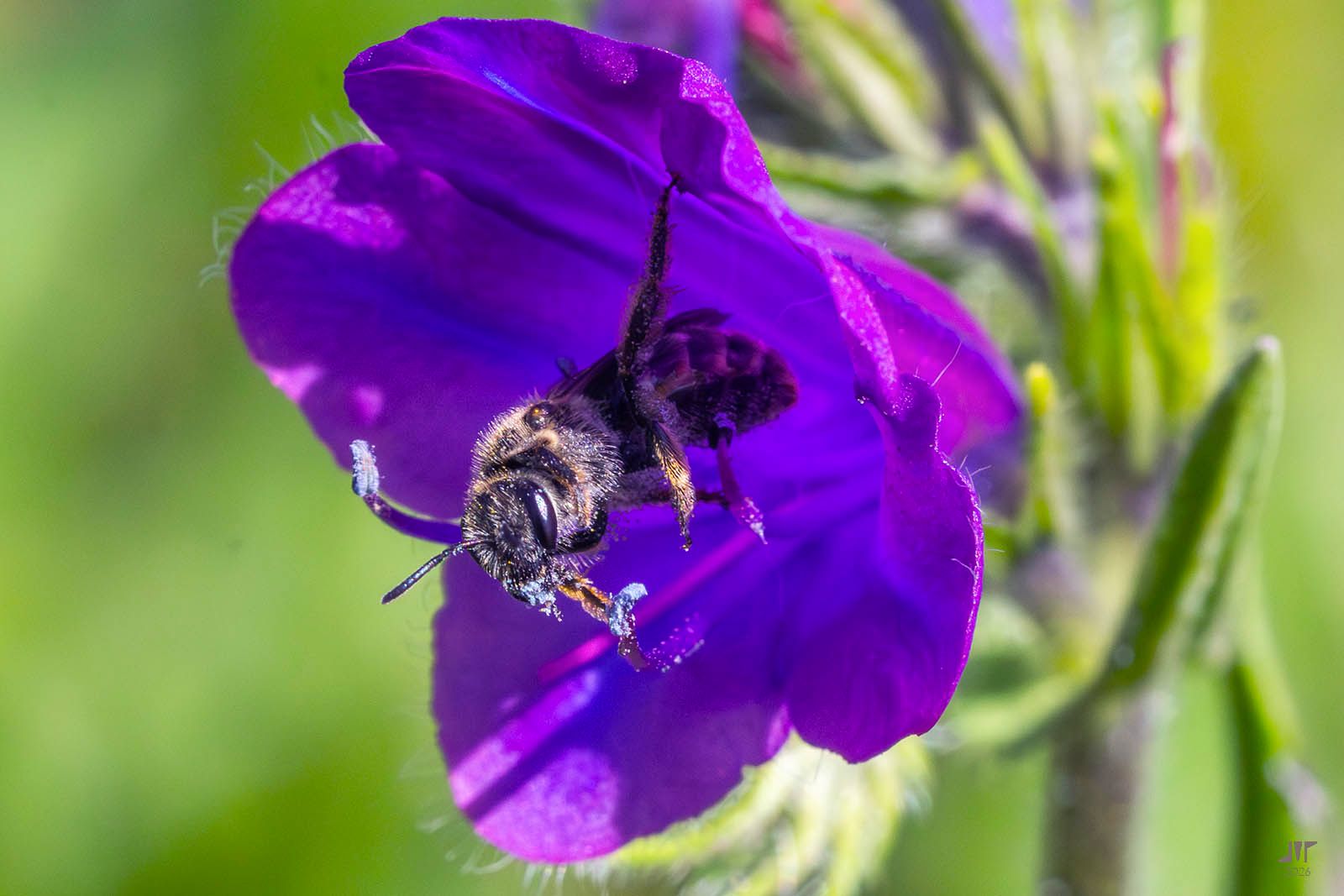 Community photo by juan manuel