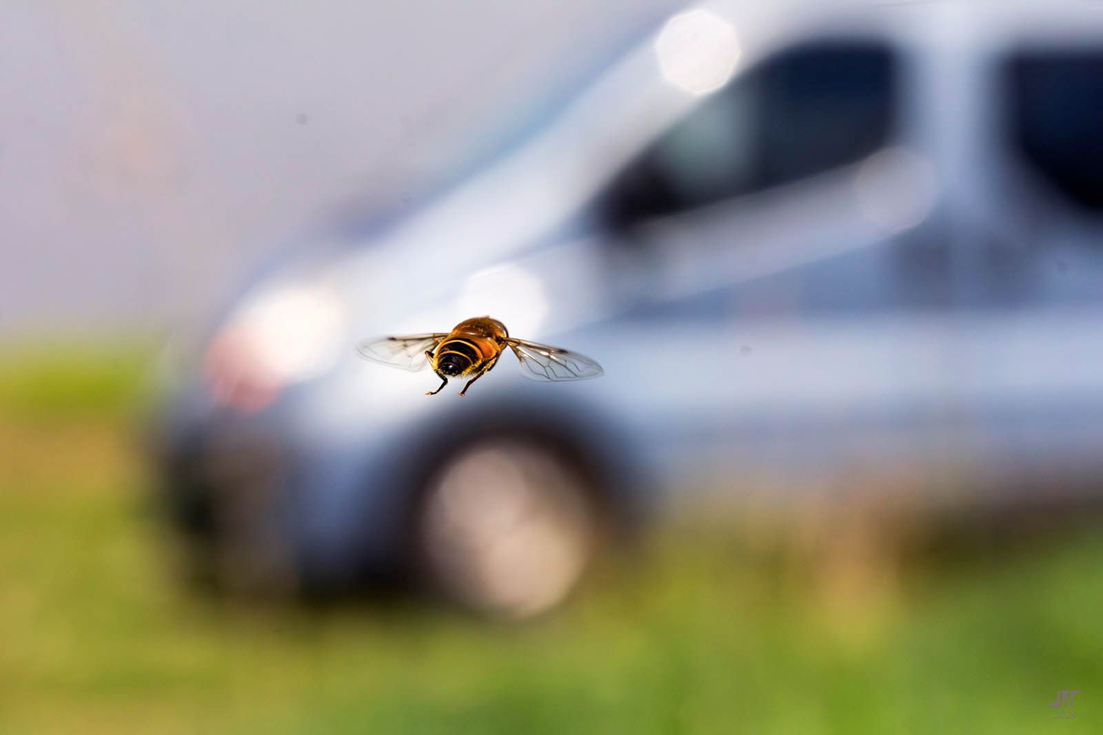 Community photo by juan manuel