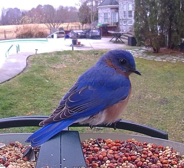 Community photo by Mark