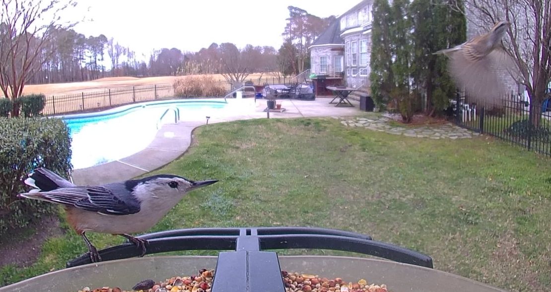 Community photo by Mark