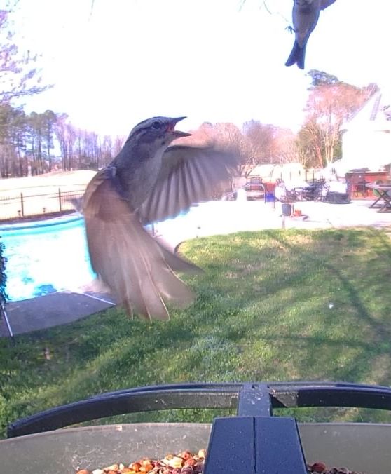 Community photo by Mark