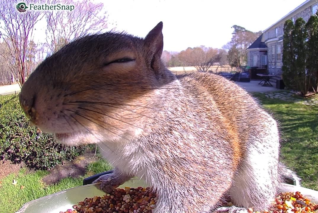 Community photo by Mark Wralstad | Virginia Beach, VA, USA