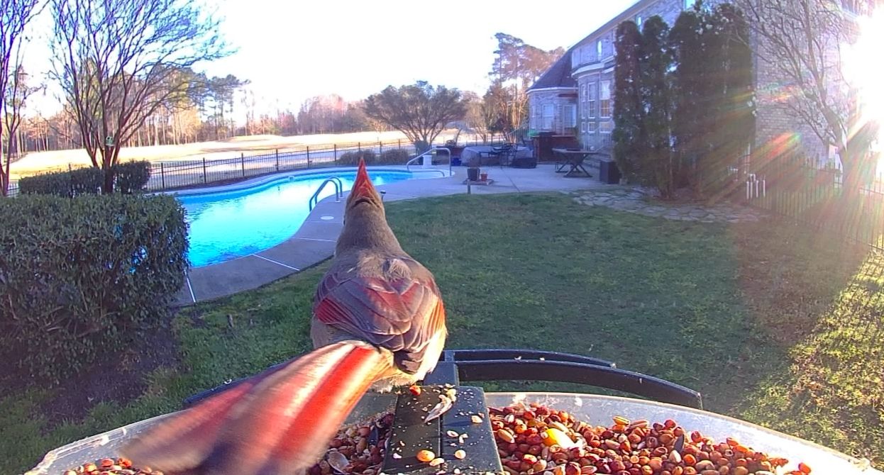 Community photo by Mark Wralstad | Virginia Beach, VA, USA