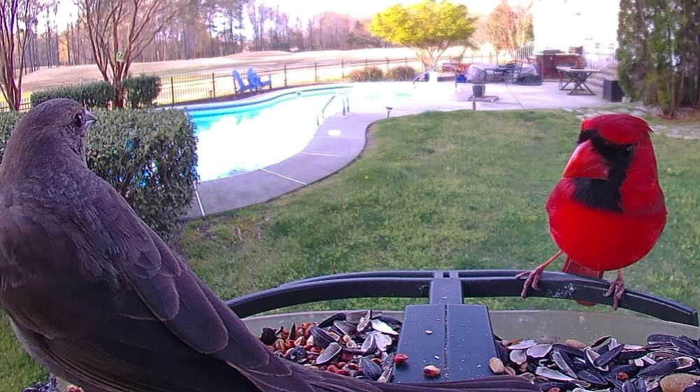 Community photo by Mark Wralstad | Virginia Beach, VA, USA