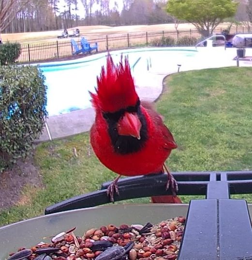 Community photo by Mark Wralstad | Virginia Beach, VA, USA