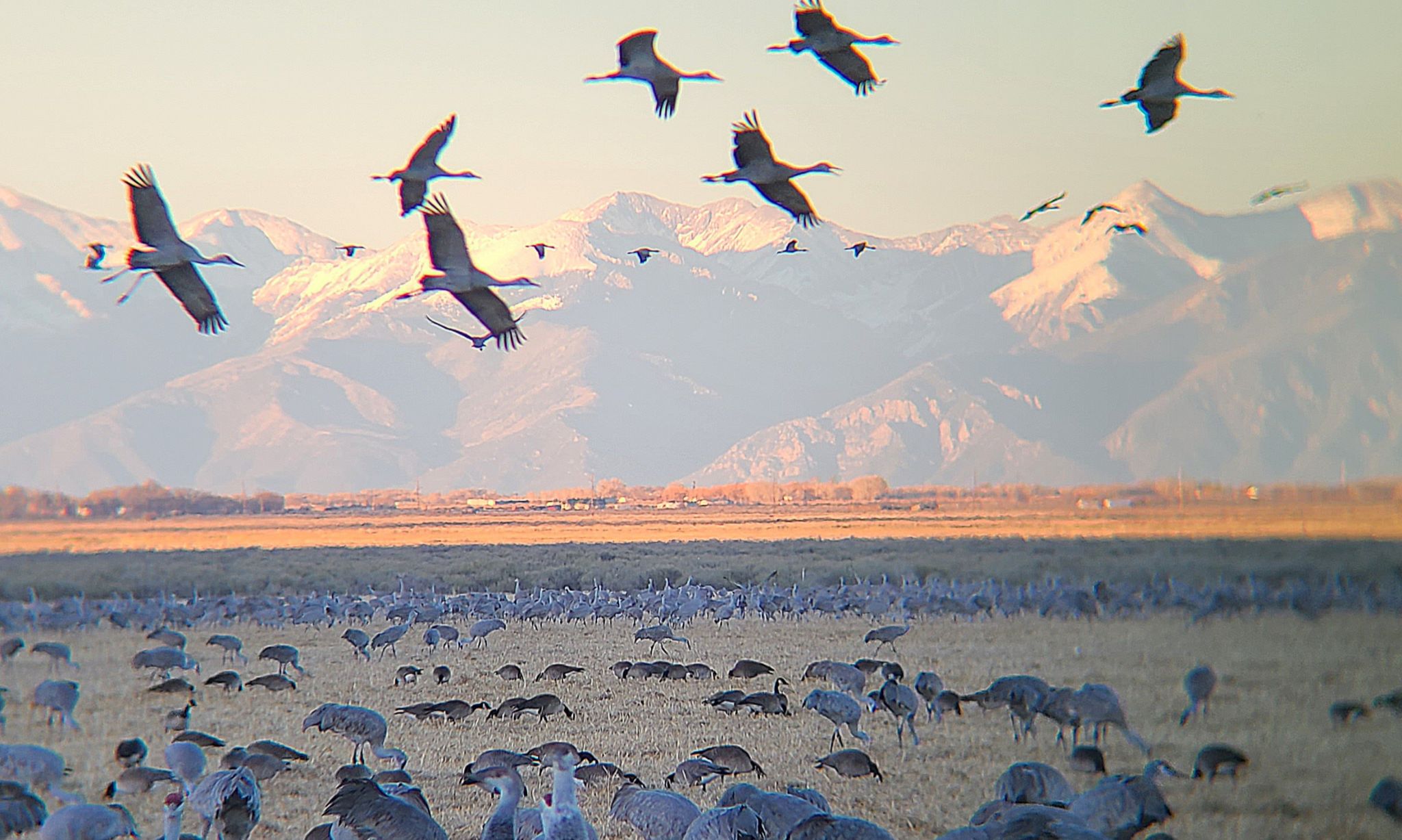 Community photo by Les