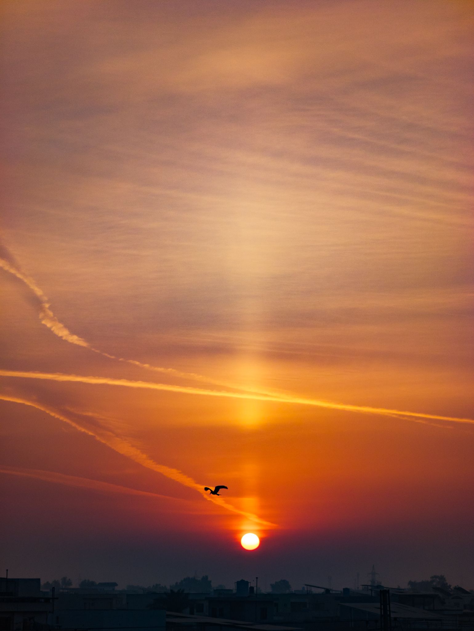 Community photo by Abbas