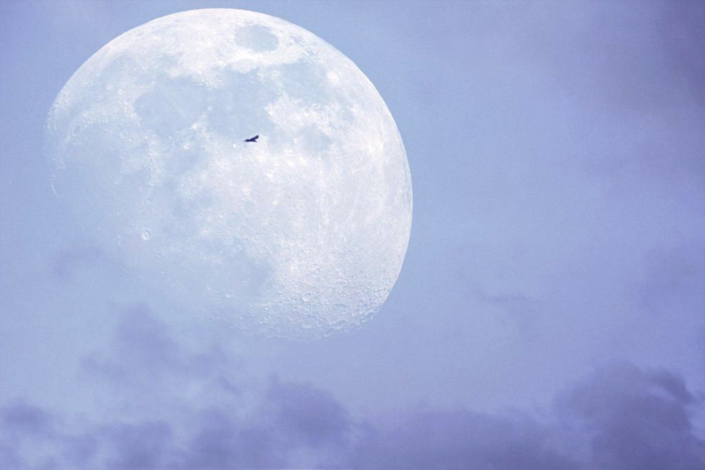 Community photo by VALERIE