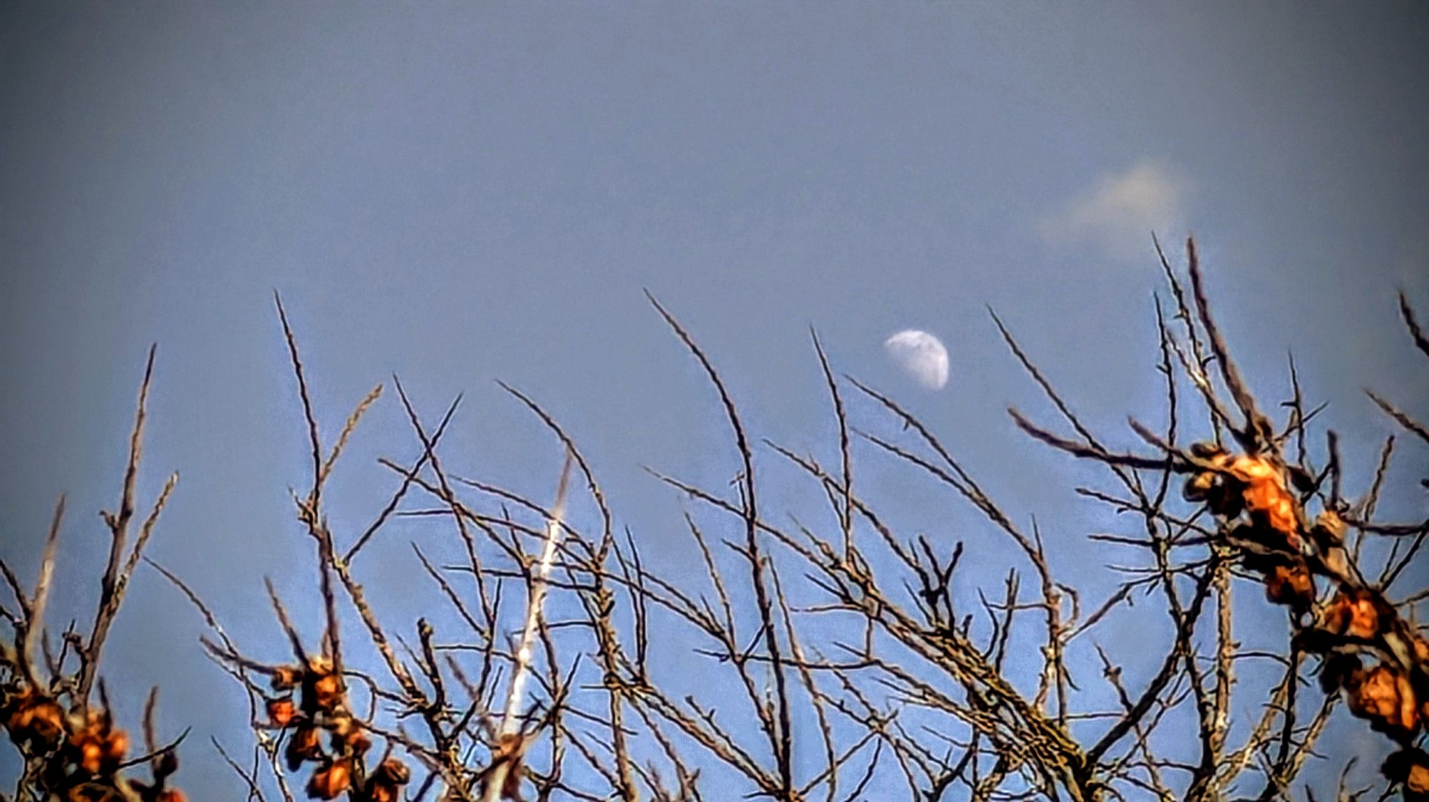 Community photo by Kevan Hubbard | Teesmouth Nature Reserve,Co Durham,England
