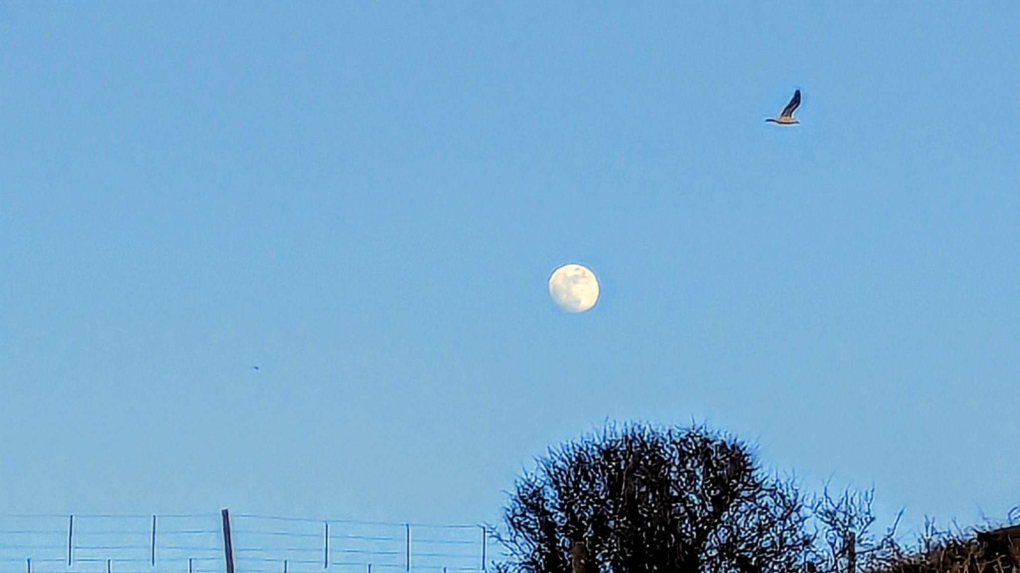 Community photo by Kevan Hubbard | Sellafield, Cumberland, England
