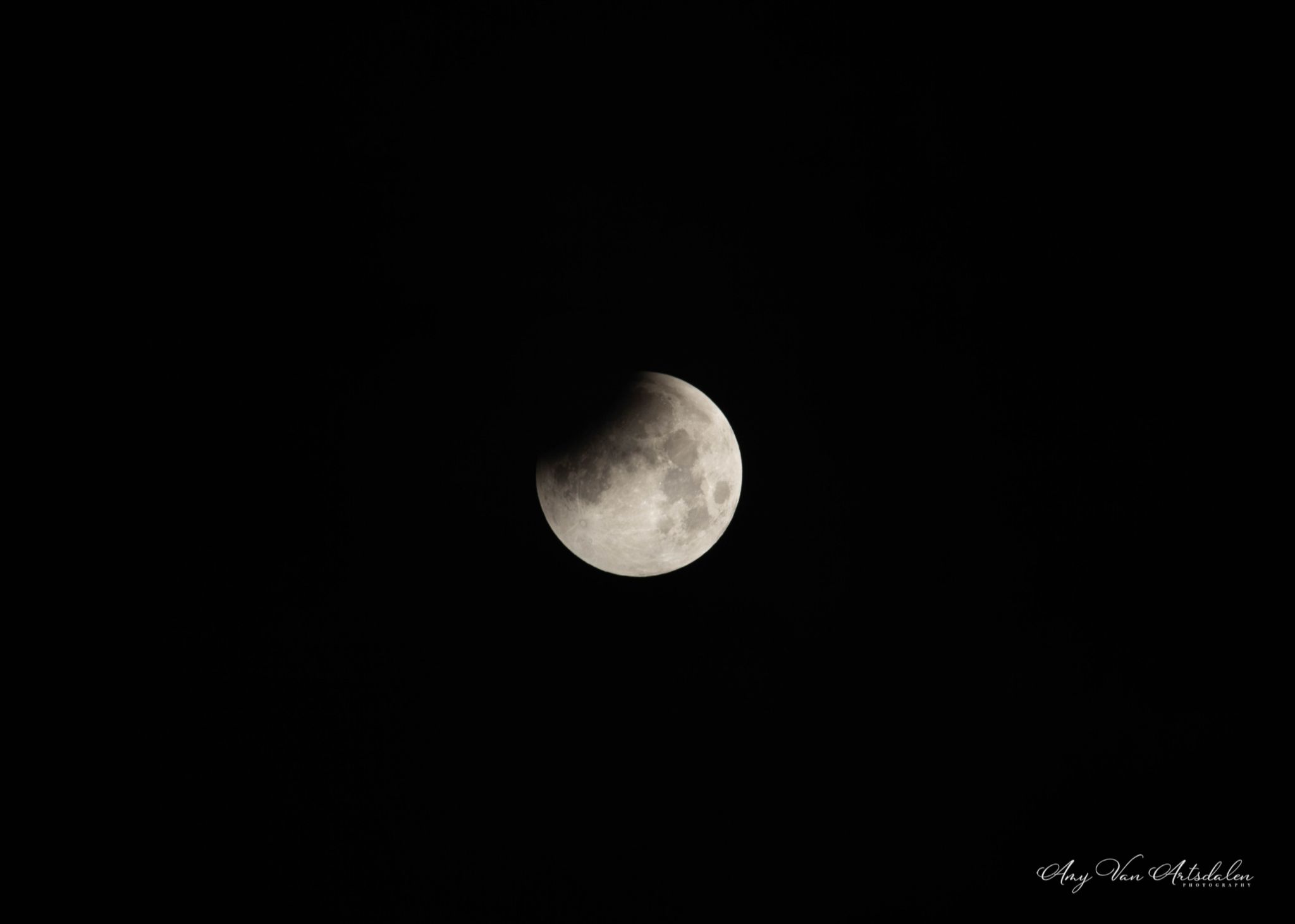 Community photo by Amy Van Artsdalen | Mansfield, TX, Tarrant County