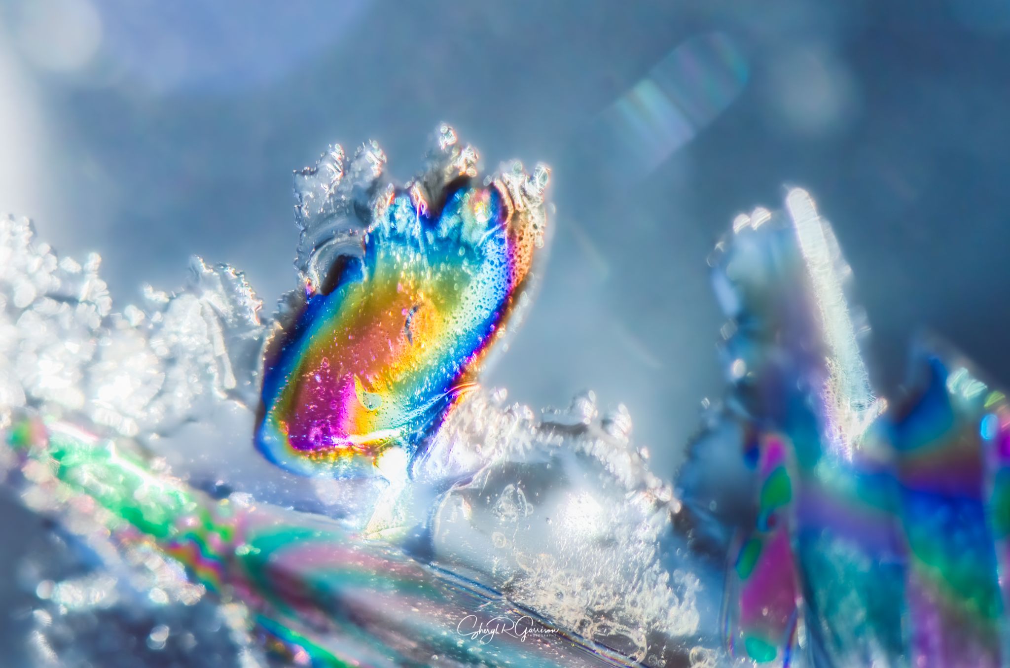 Community photo by Sheryl R Garrison | Southern Alberta, Canada