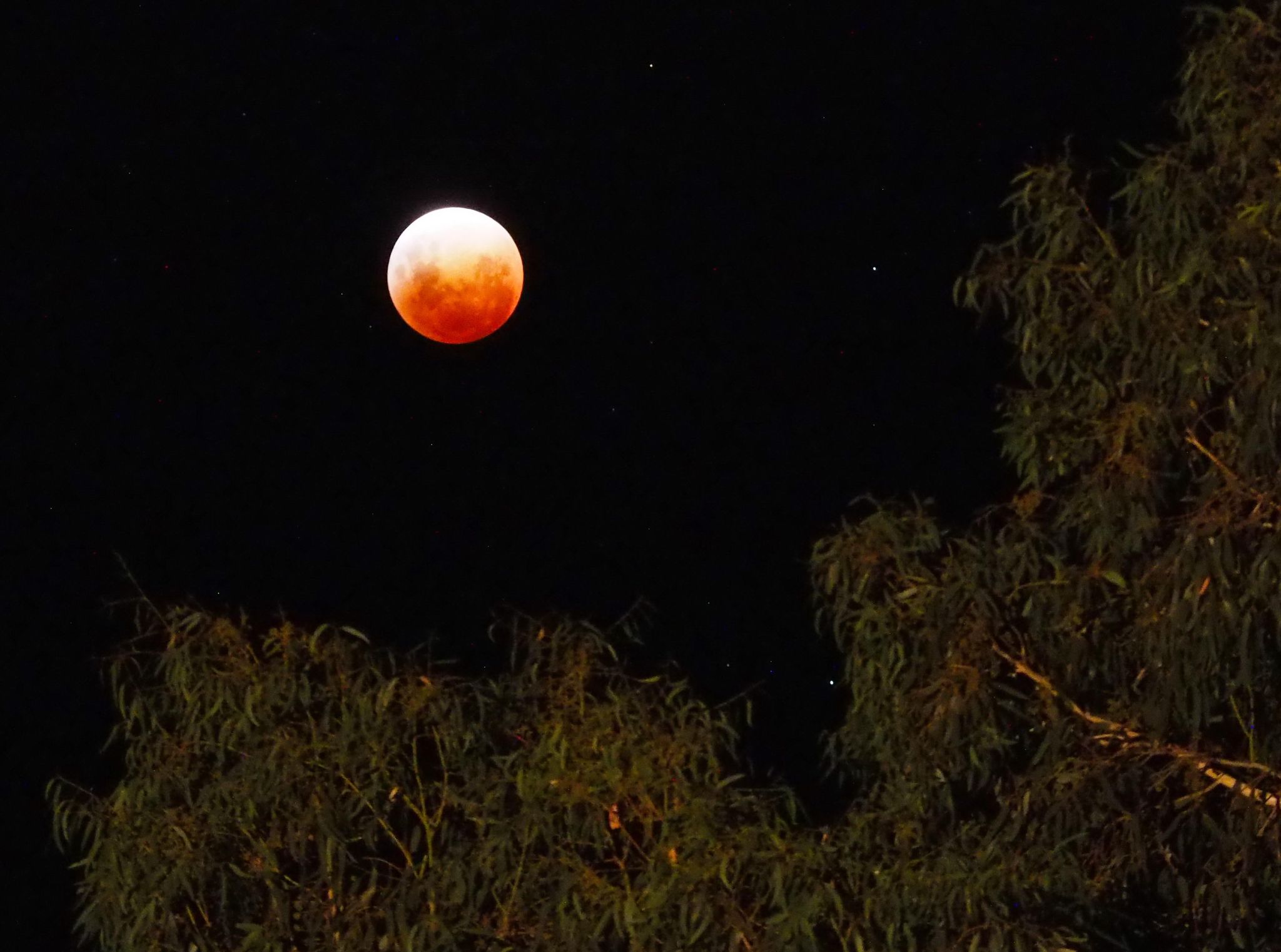 Community photo by Richard