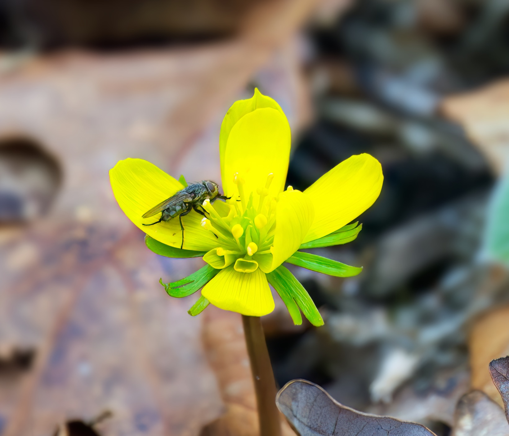 Community photo by Don