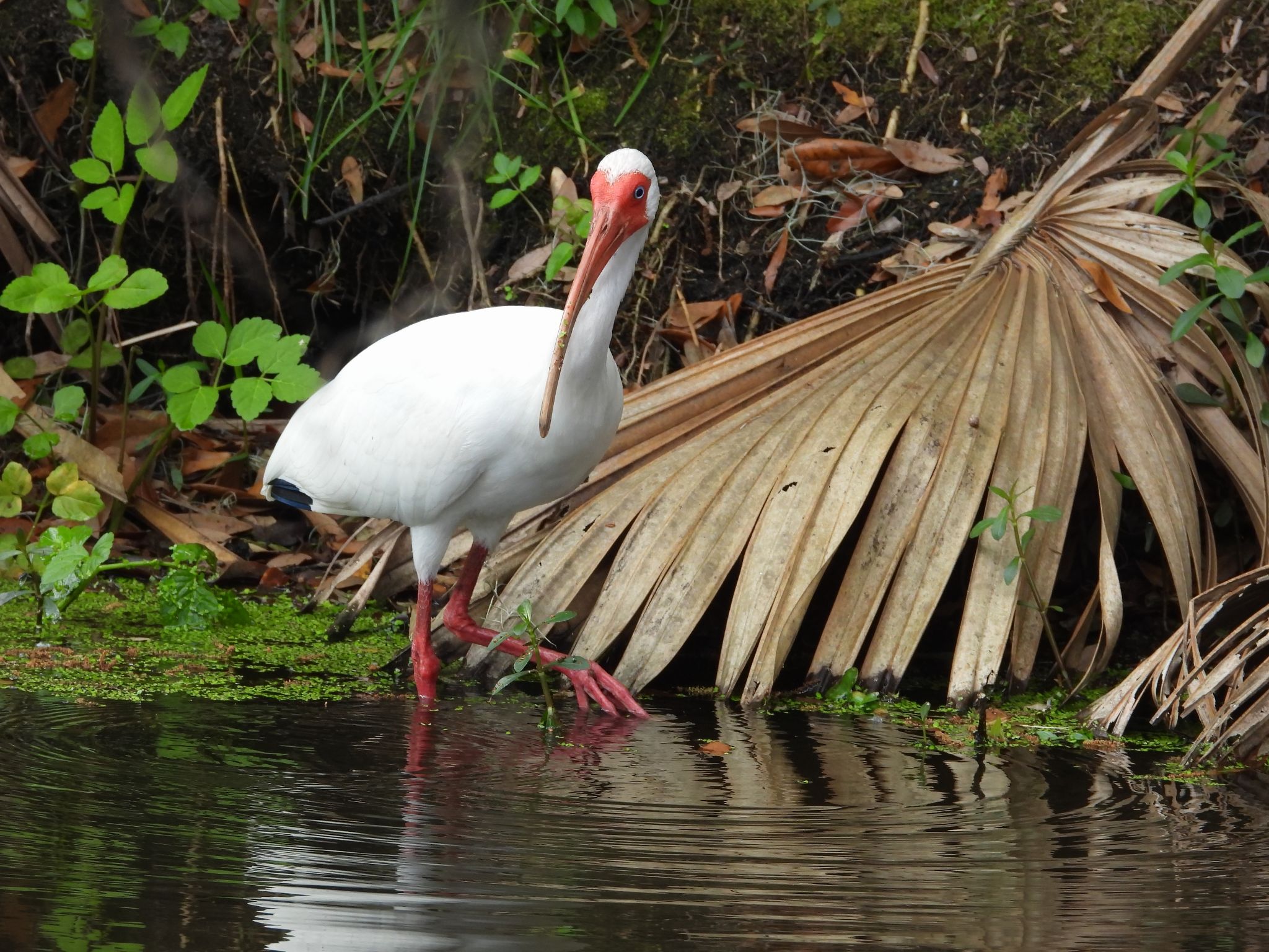 Community photo by Cecille