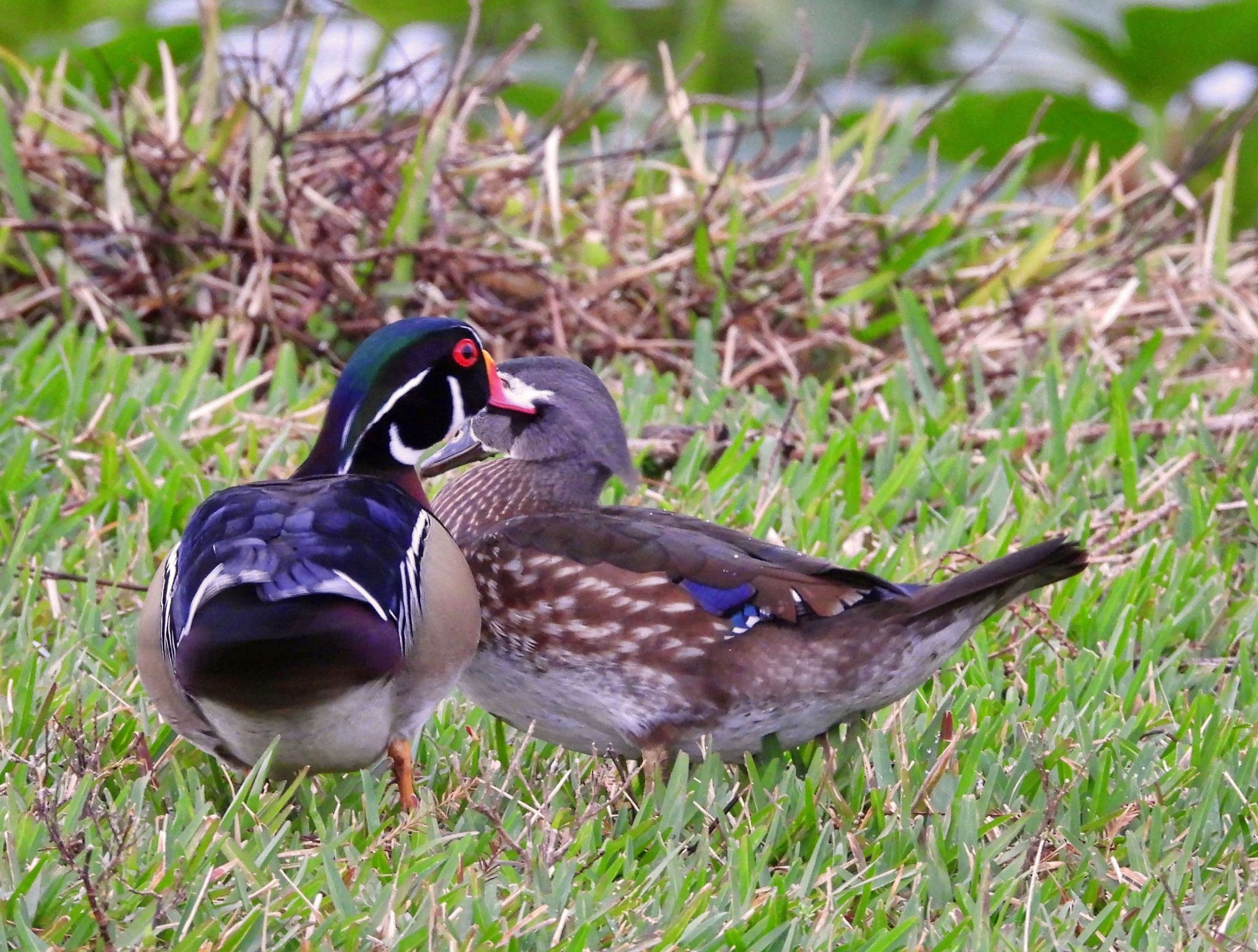 Community photo by Cecille