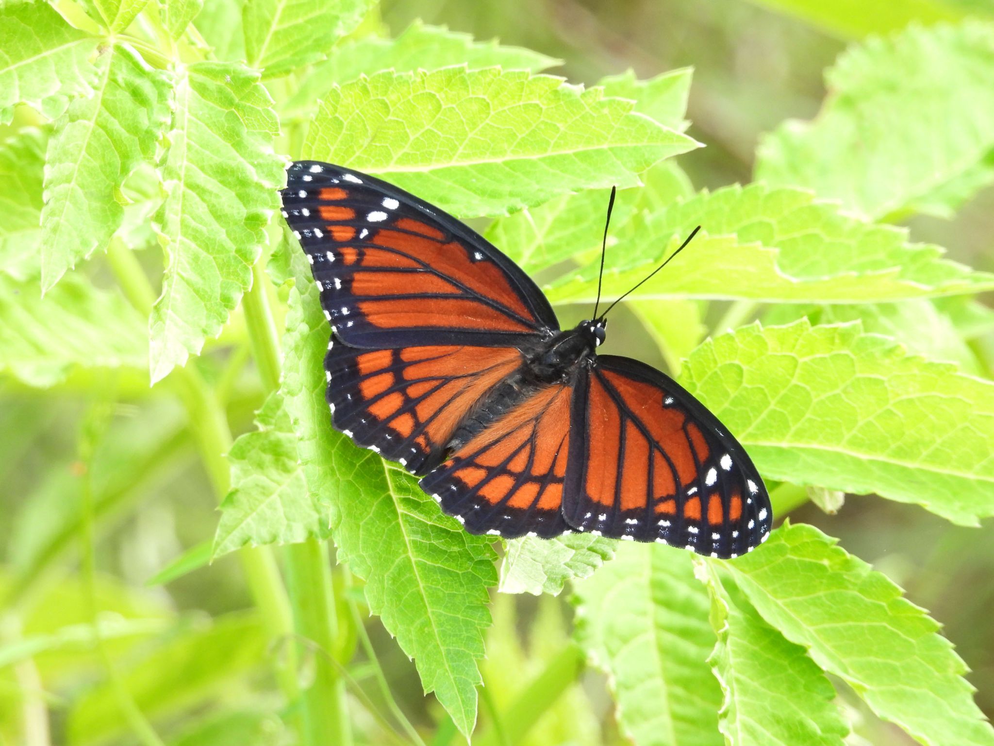 Community photo by Cecille