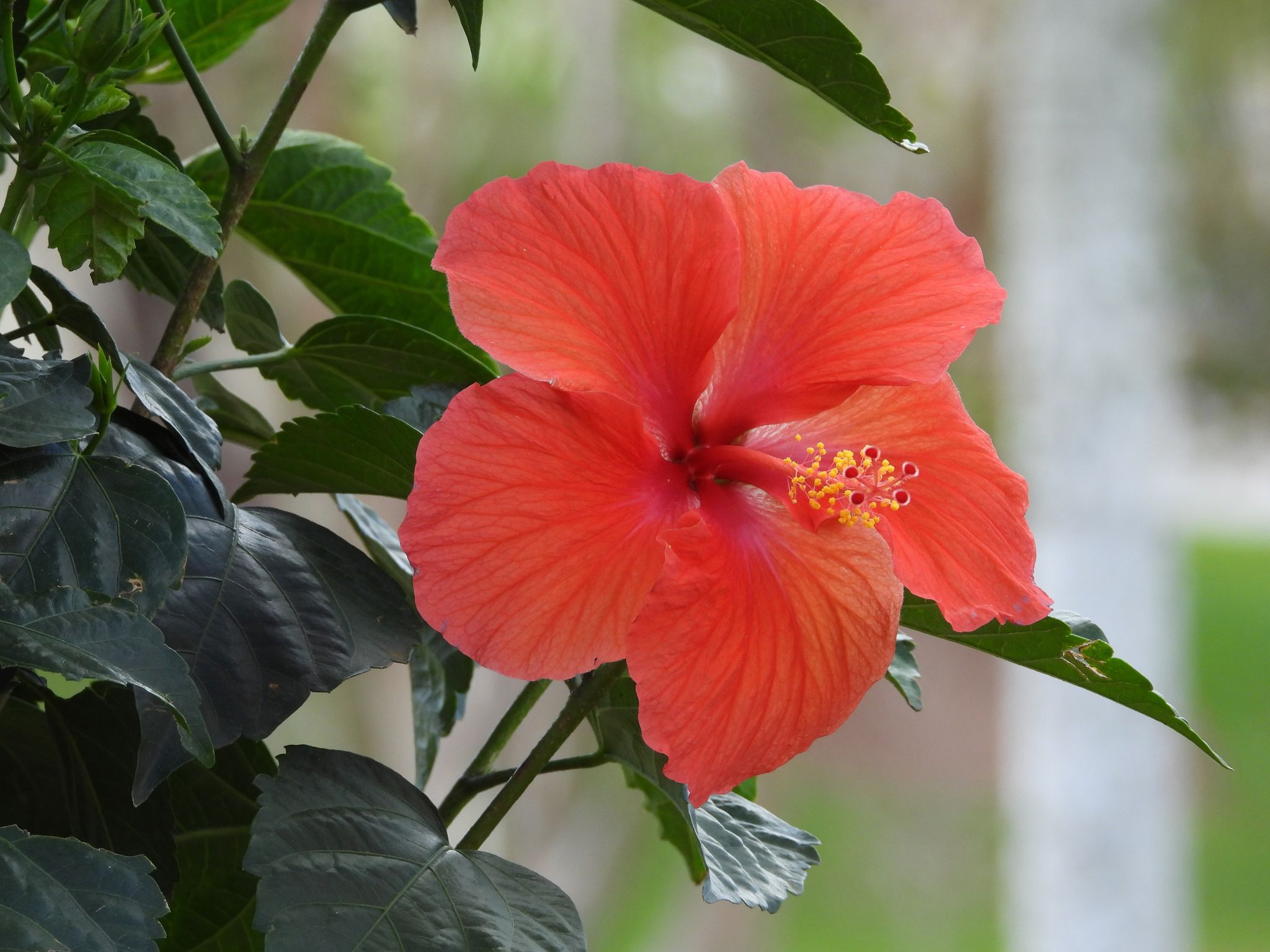 Community photo by Cecille