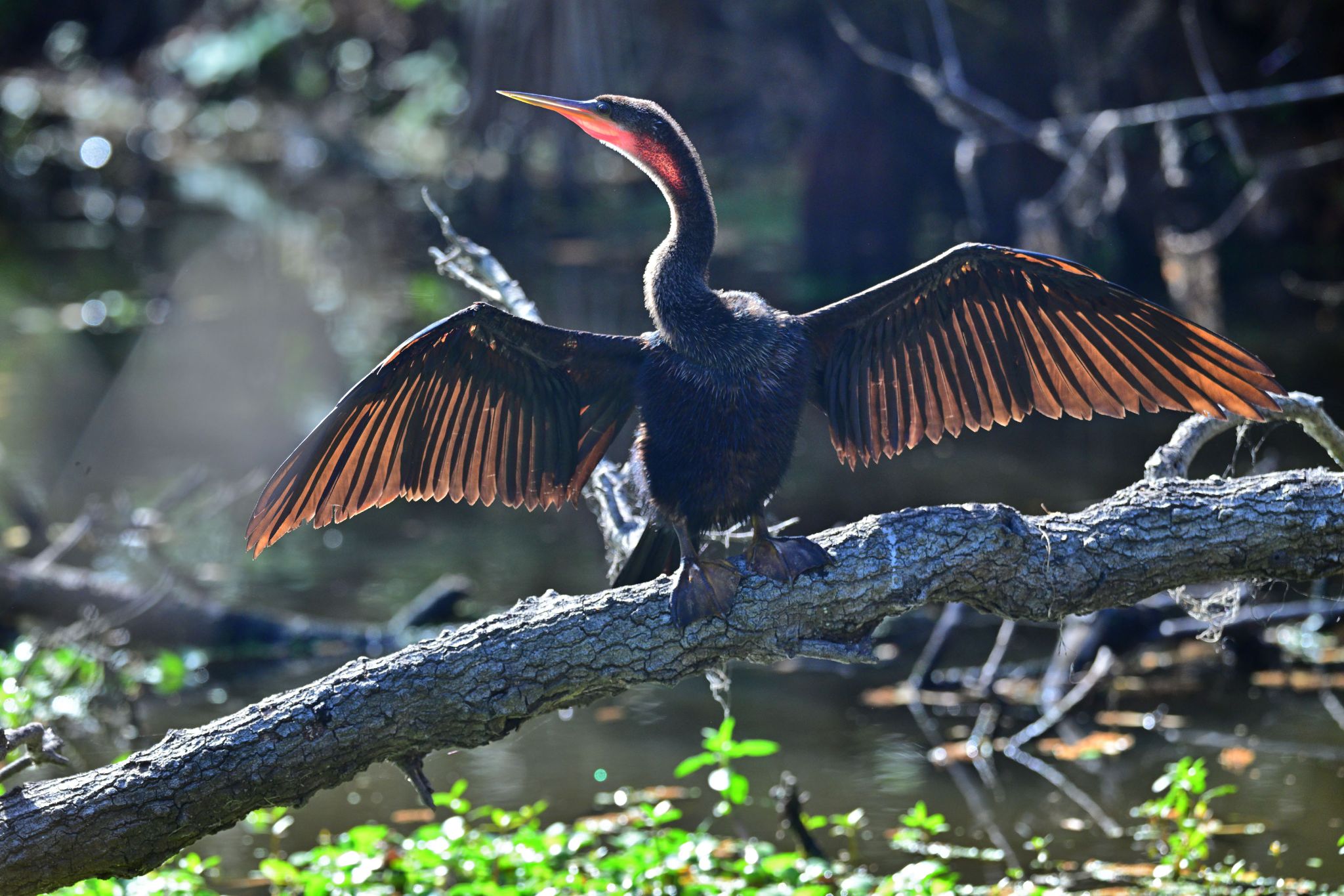 Community photo by Cecille