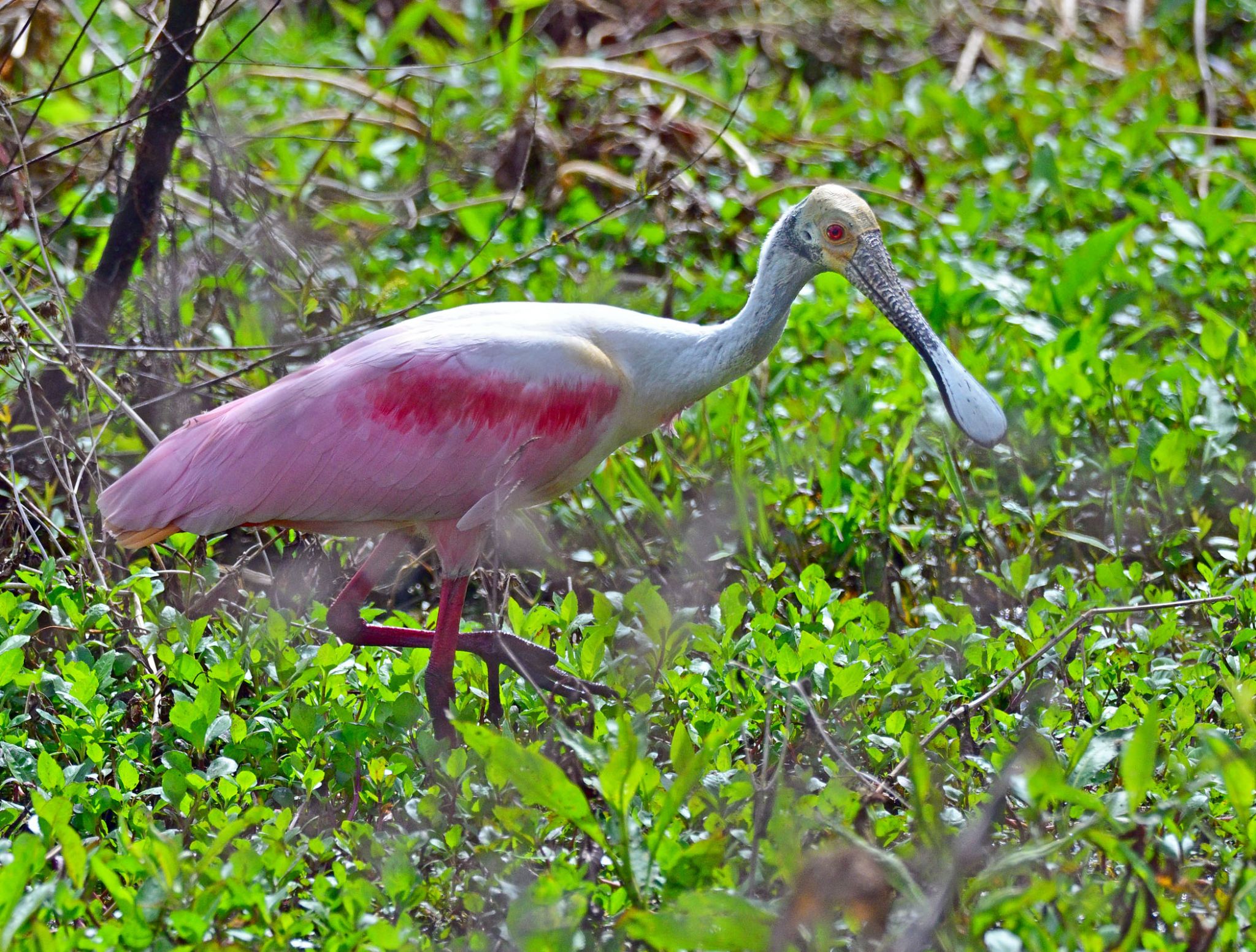 Community photo by Cecille