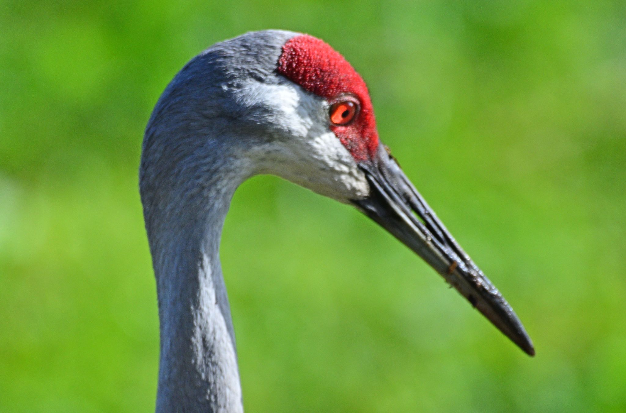 Community photo by Cecille