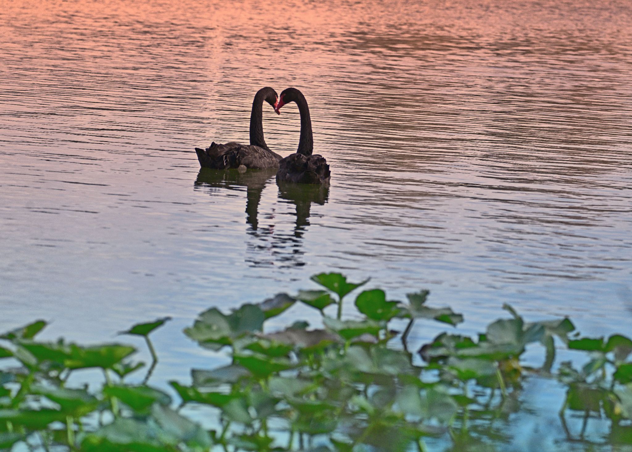 Community photo by Cecille