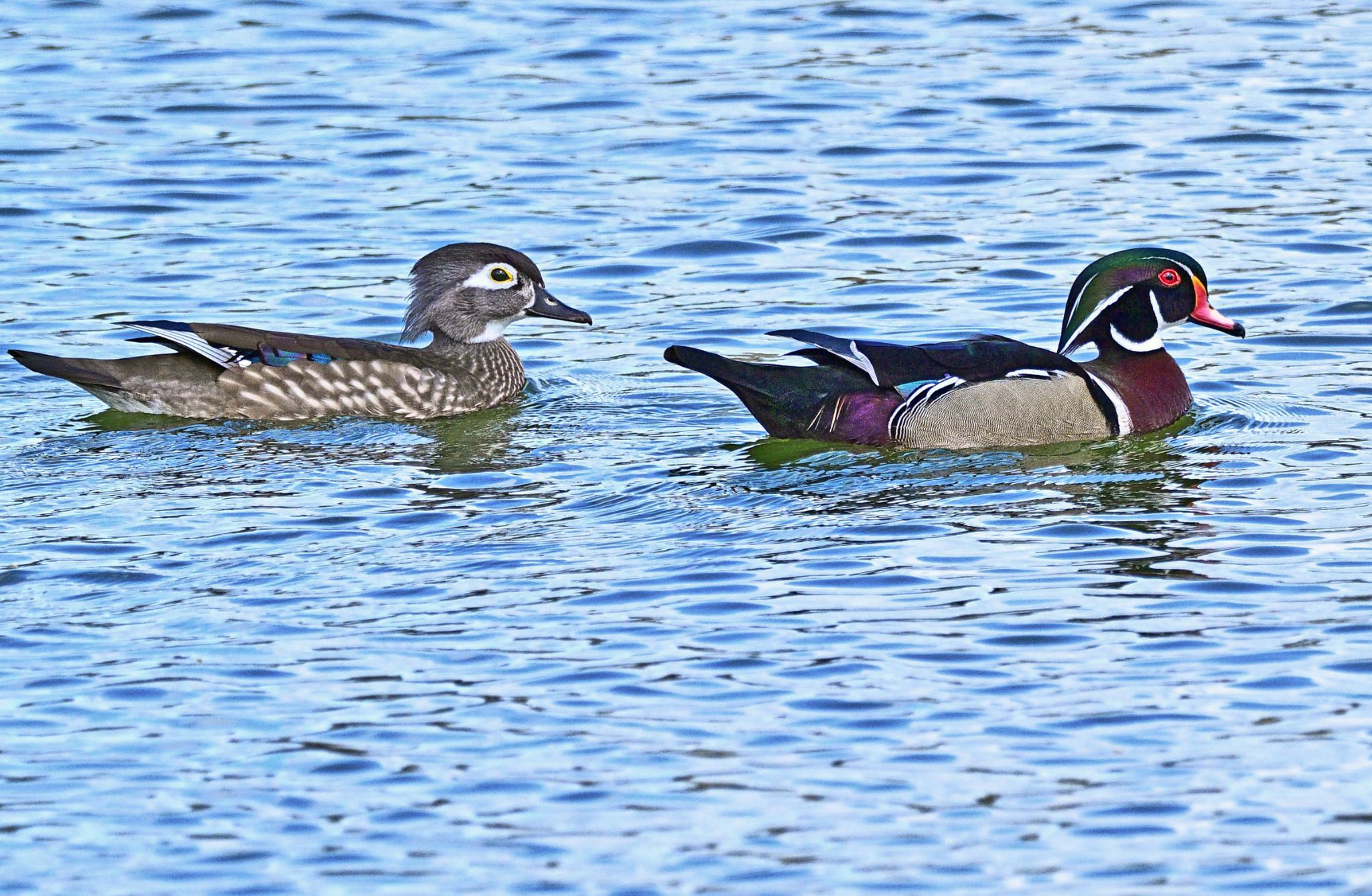 Community photo by Cecille