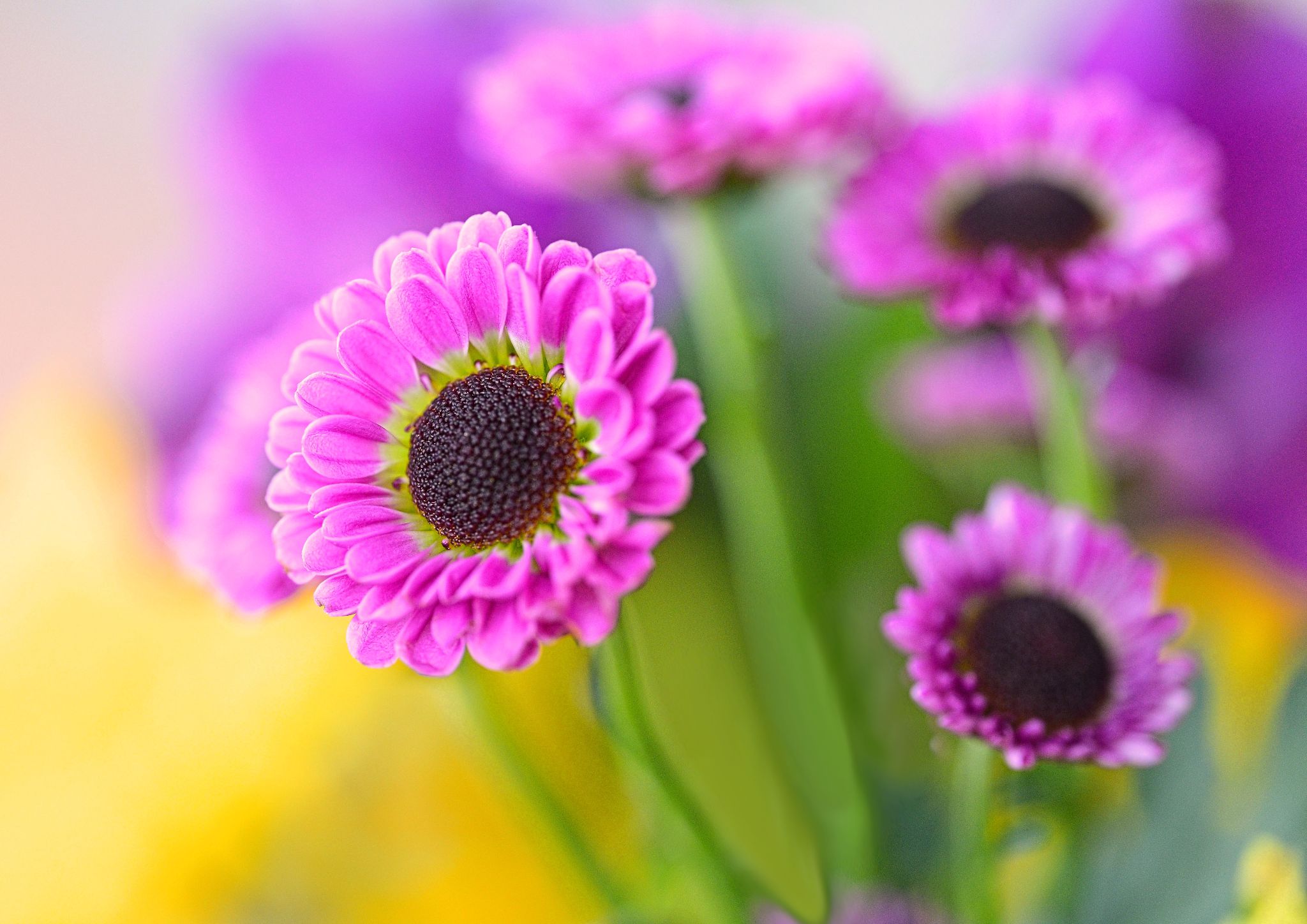 Community photo by Cecille Kennedy | Depoe Bay, Oregon