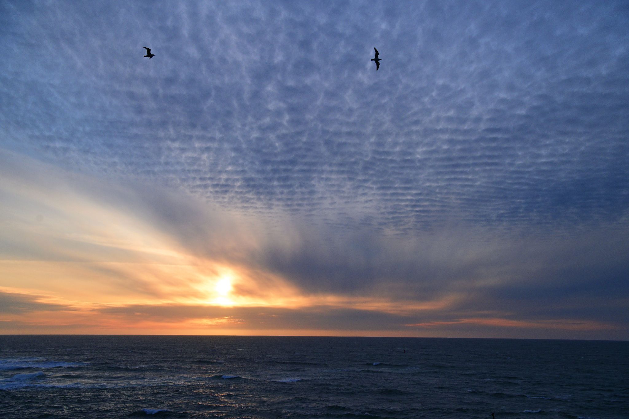 Community photo by Cecille