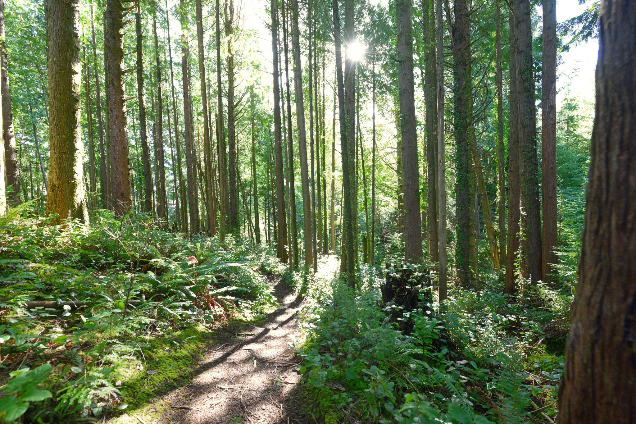 Community photo by Cecille