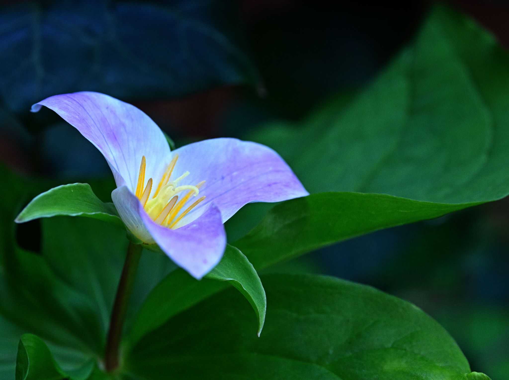 Community photo by Cecille