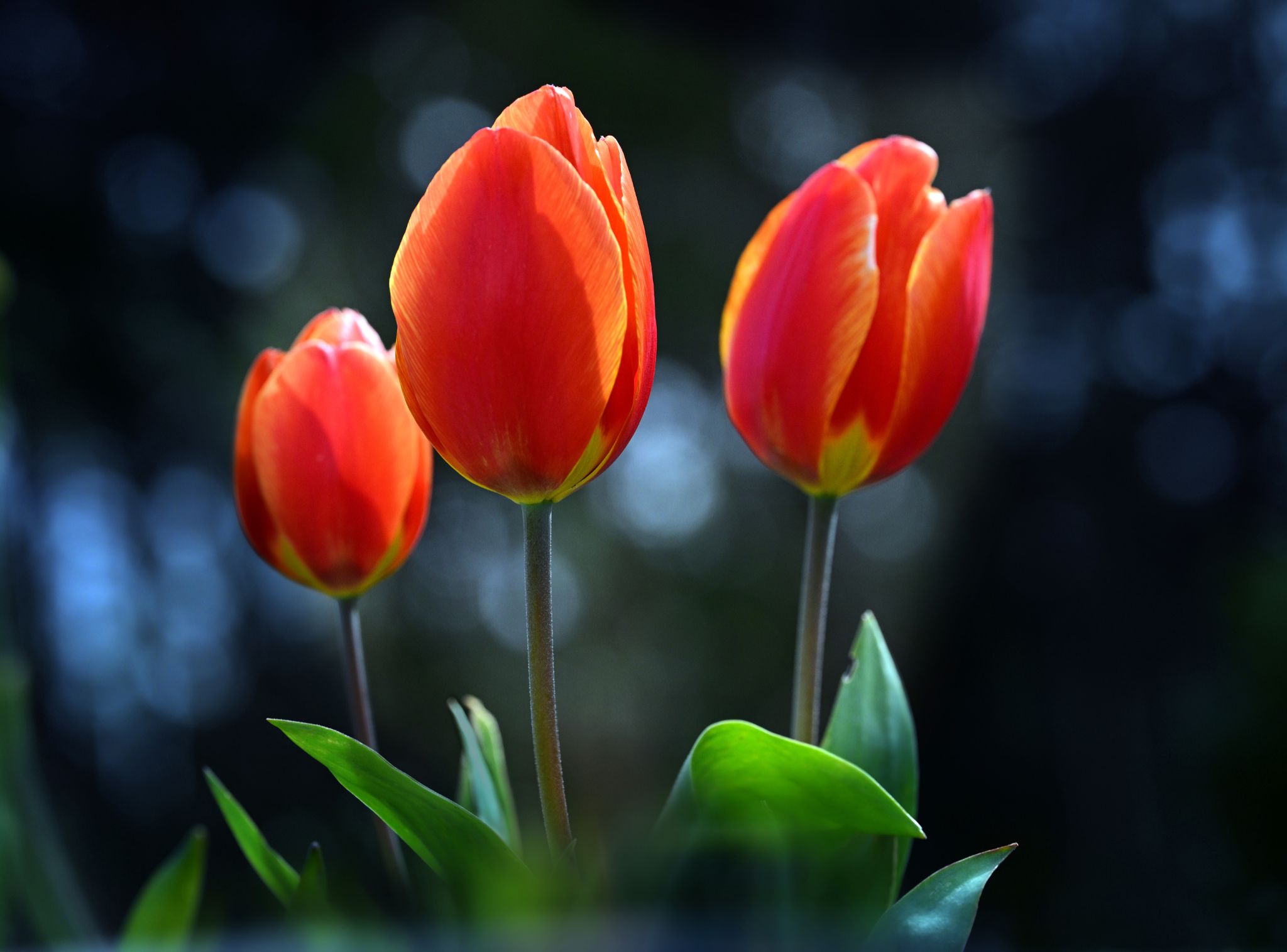 Community photo by Cecille Kennedy | Depoe Bay, Oregon