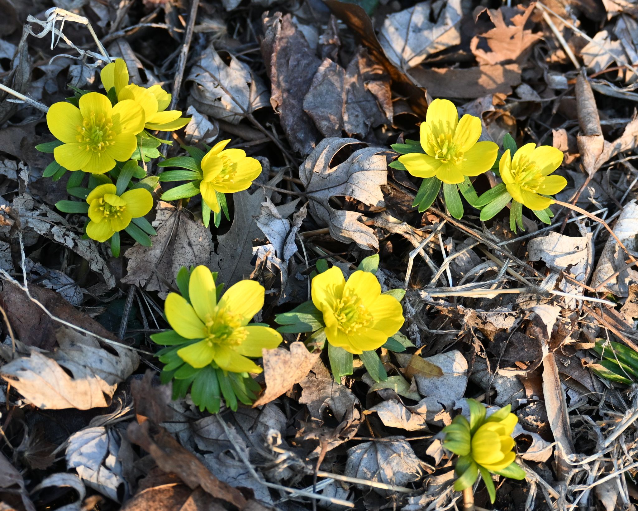 Community photo by Nina