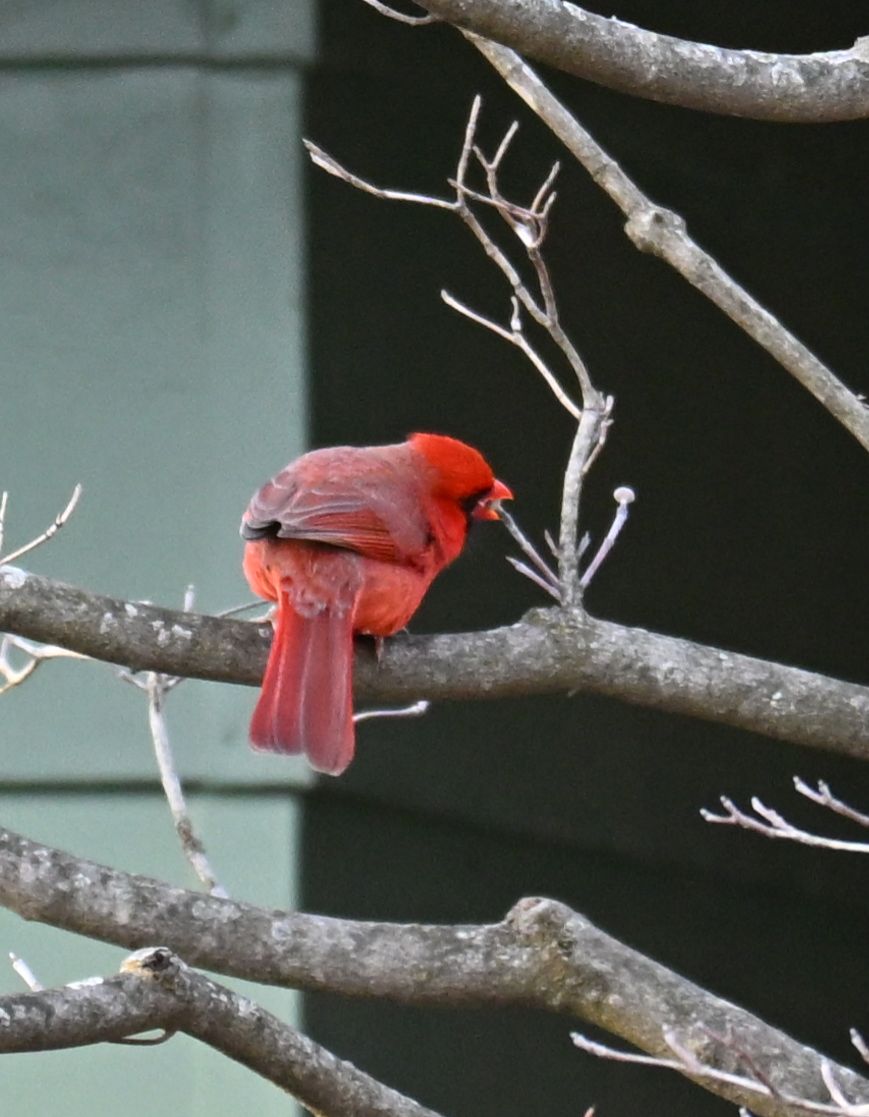 Community photo by Nina