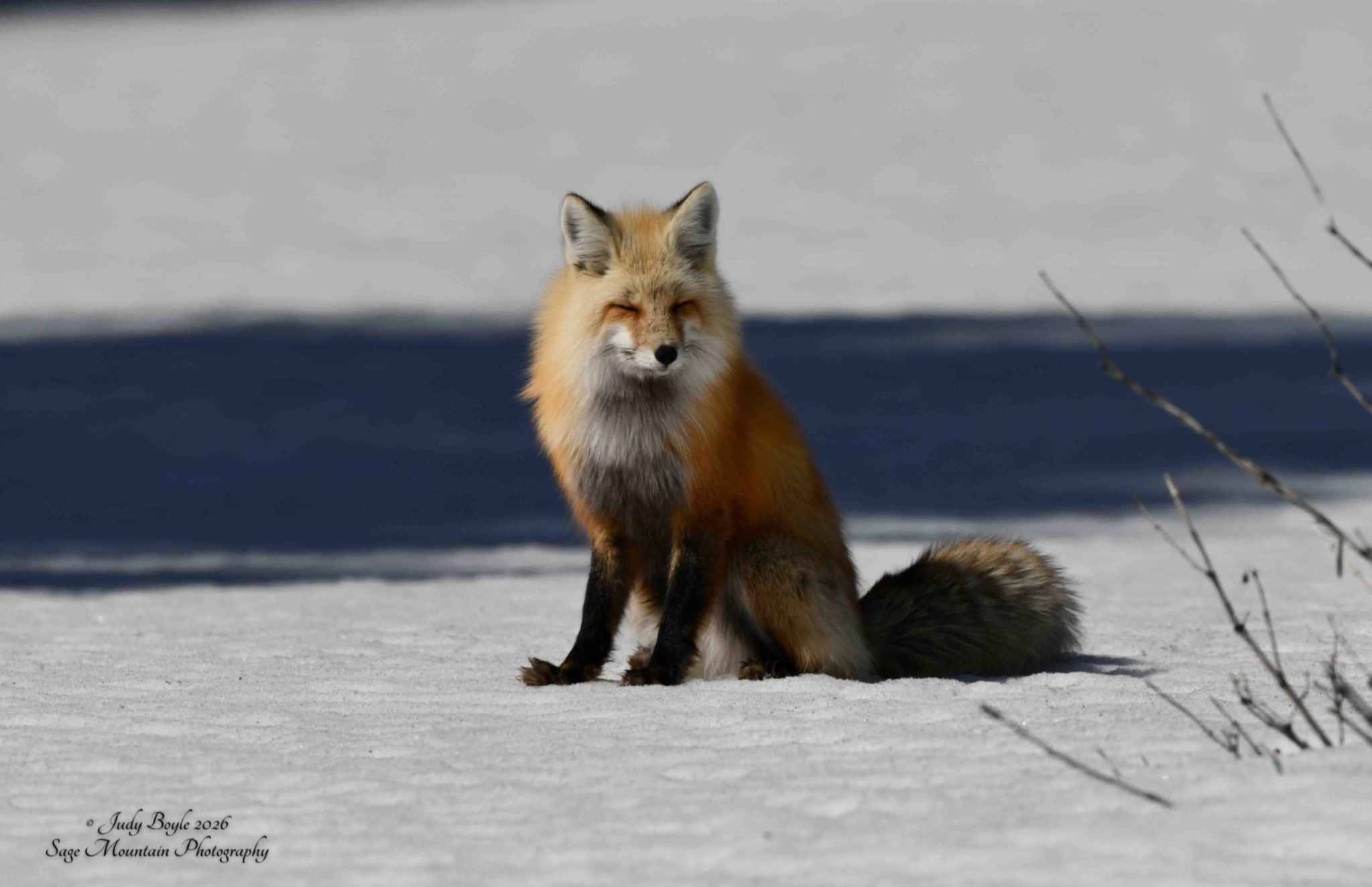 Community photo by Judy