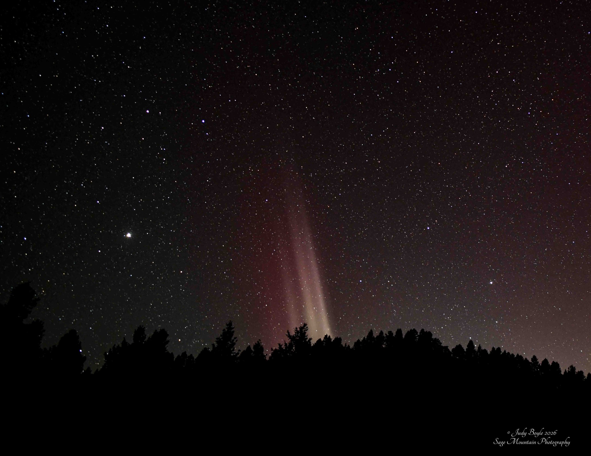 Community photo by Judy Boyle | Whitehall, Montana USA