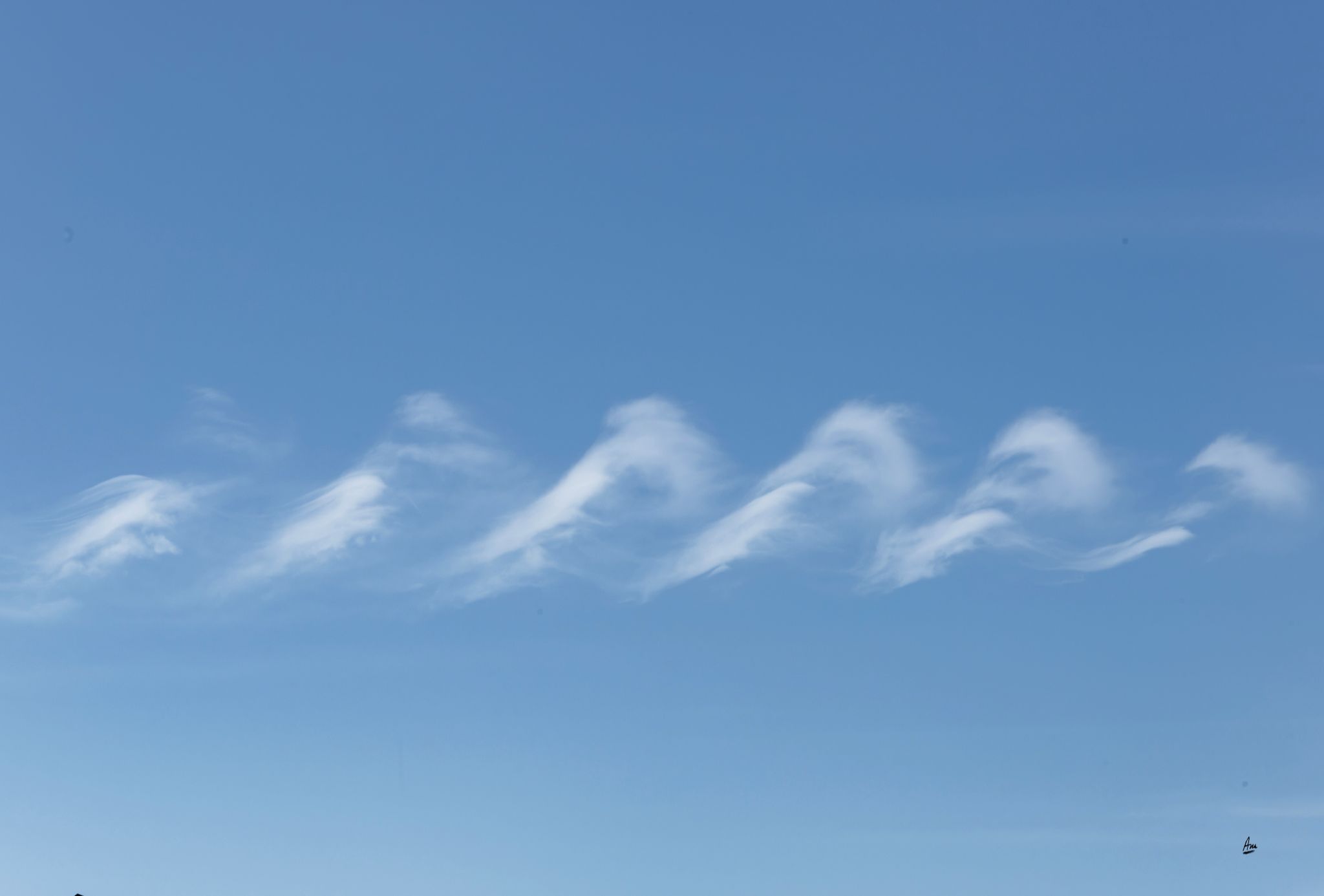 Community photo by Ana Dillion | Florence, Oregon