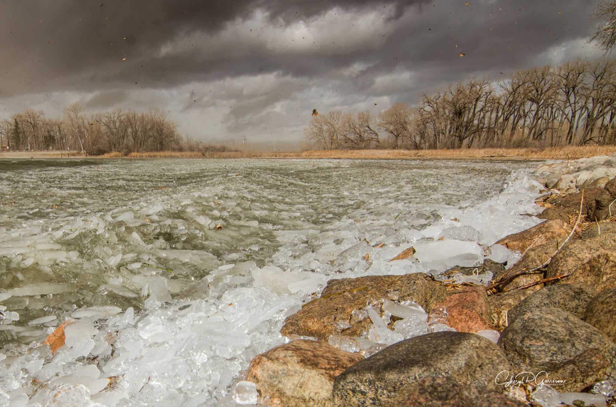 Community photo by Sheryl R.