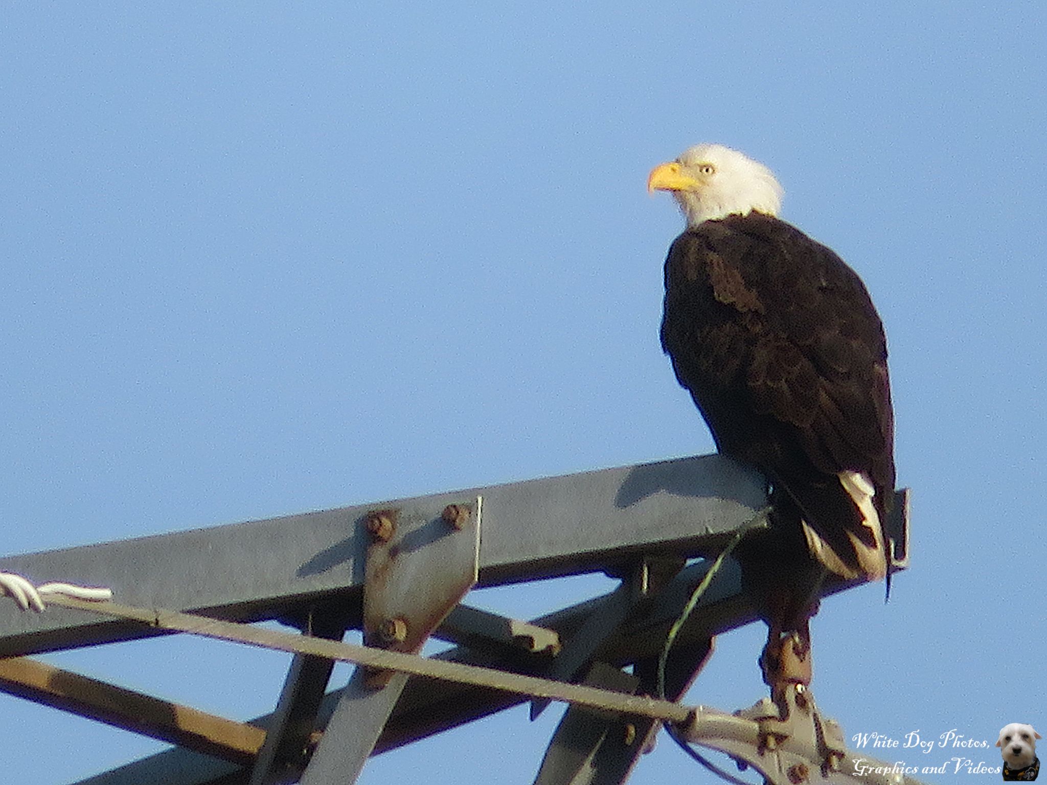 Community photo by Gerald Barney | Port Wentworth Ga. USA