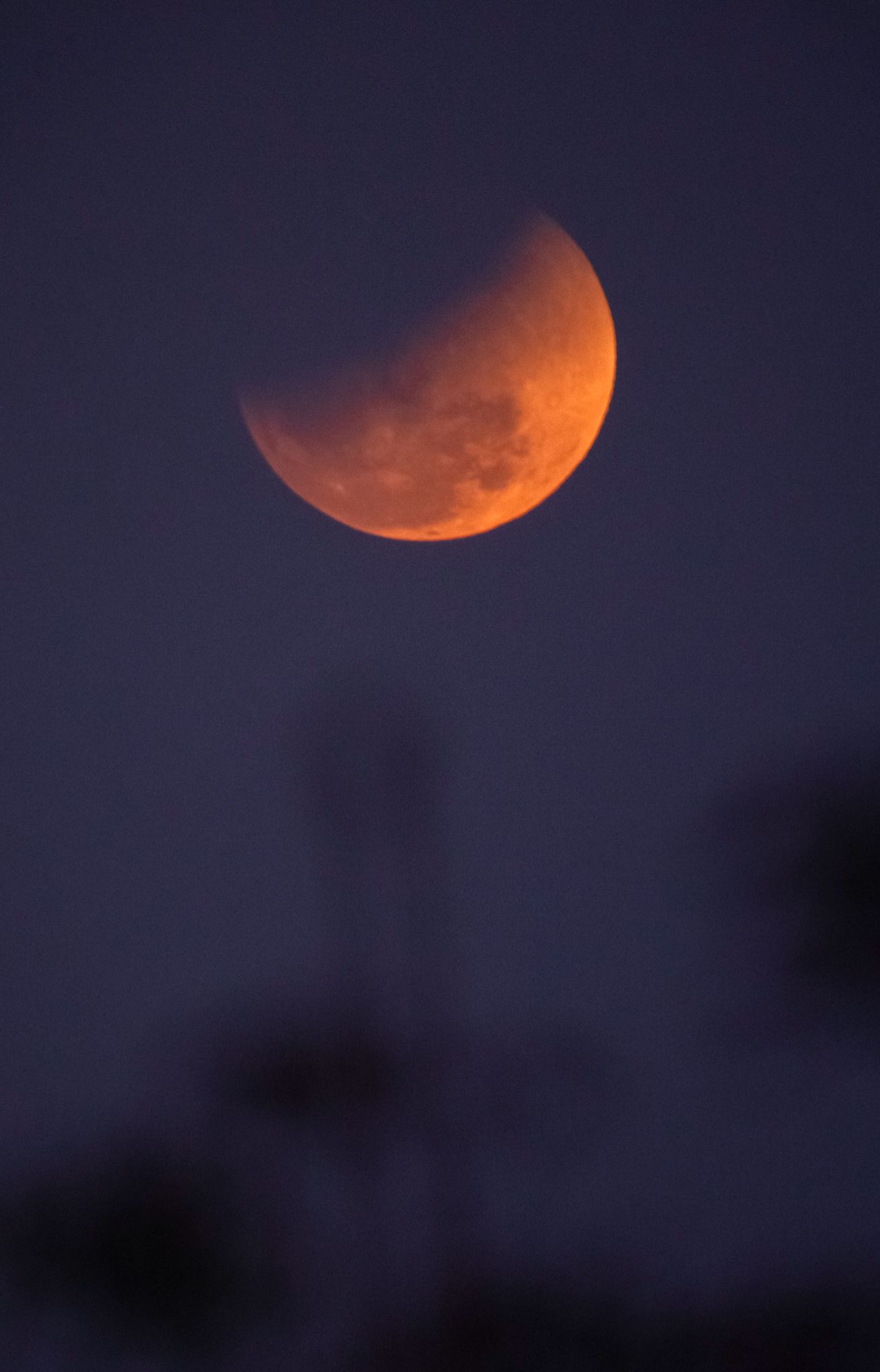 Community photo by Atharva Maurya | Bhadohi