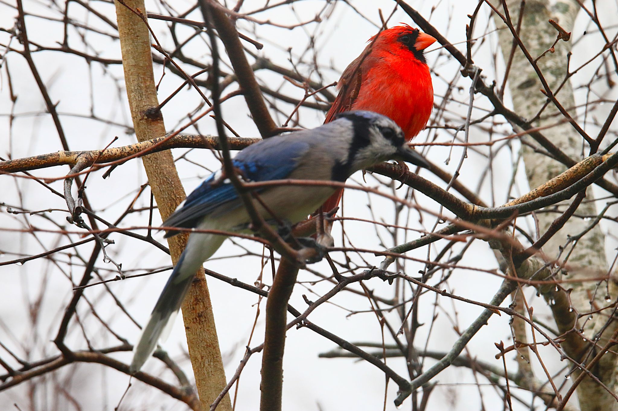 Community photo by Bill Kozar | Taylorsville, Indiana. USA