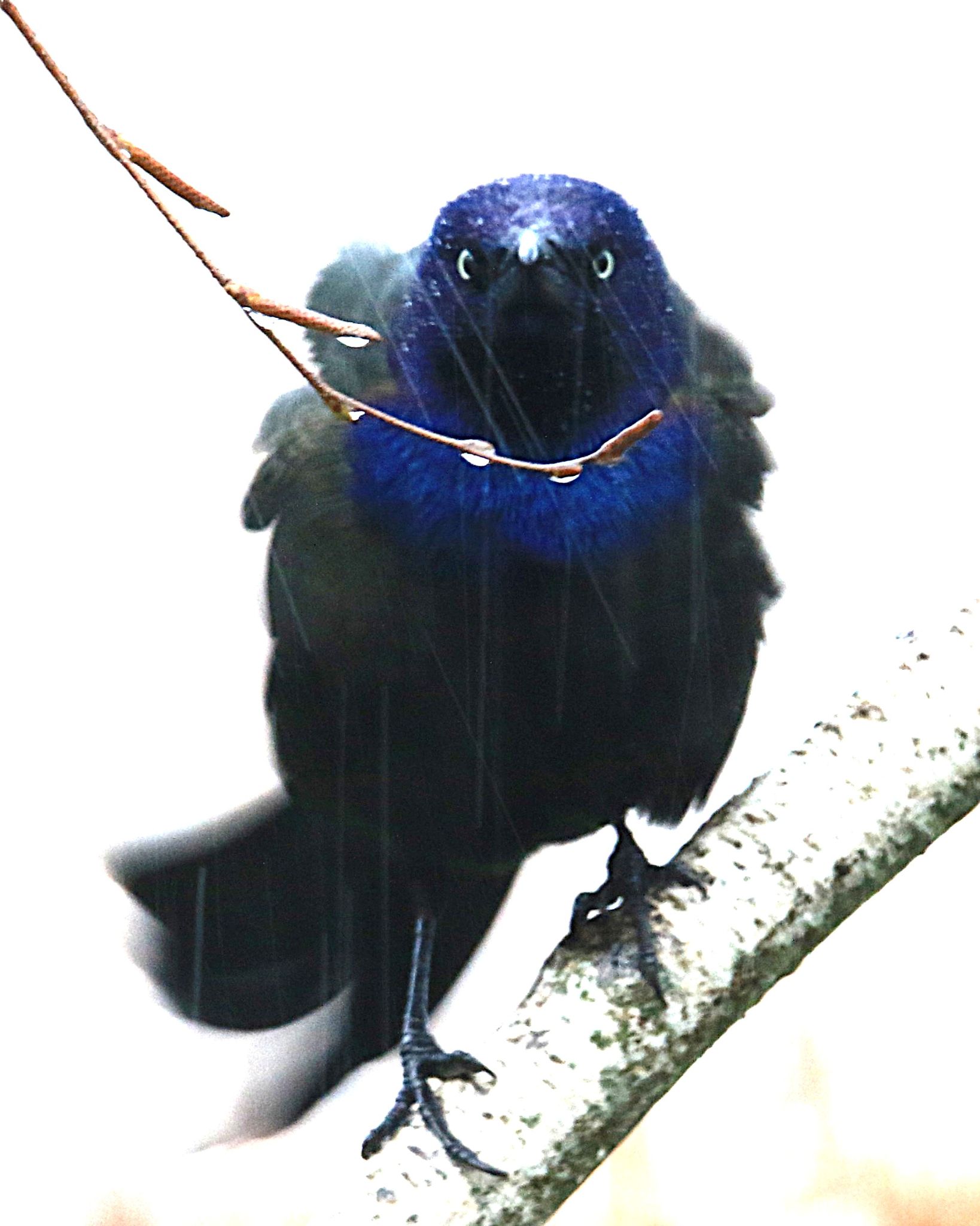 Community photo by Bill Kozar | Taylorsville, Indiana. USA