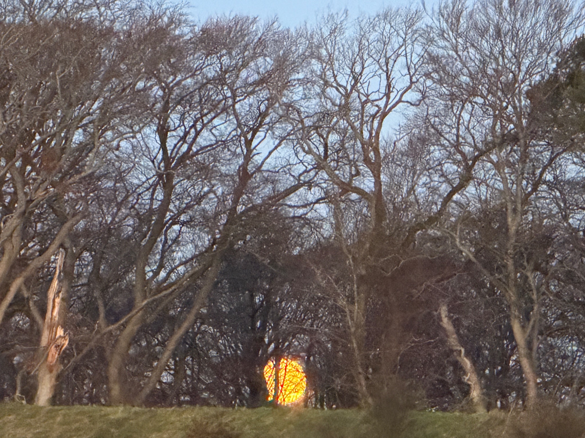 Community photo by Neil